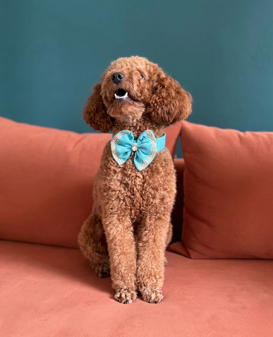 Booply Festive Bow Tie - Firoza