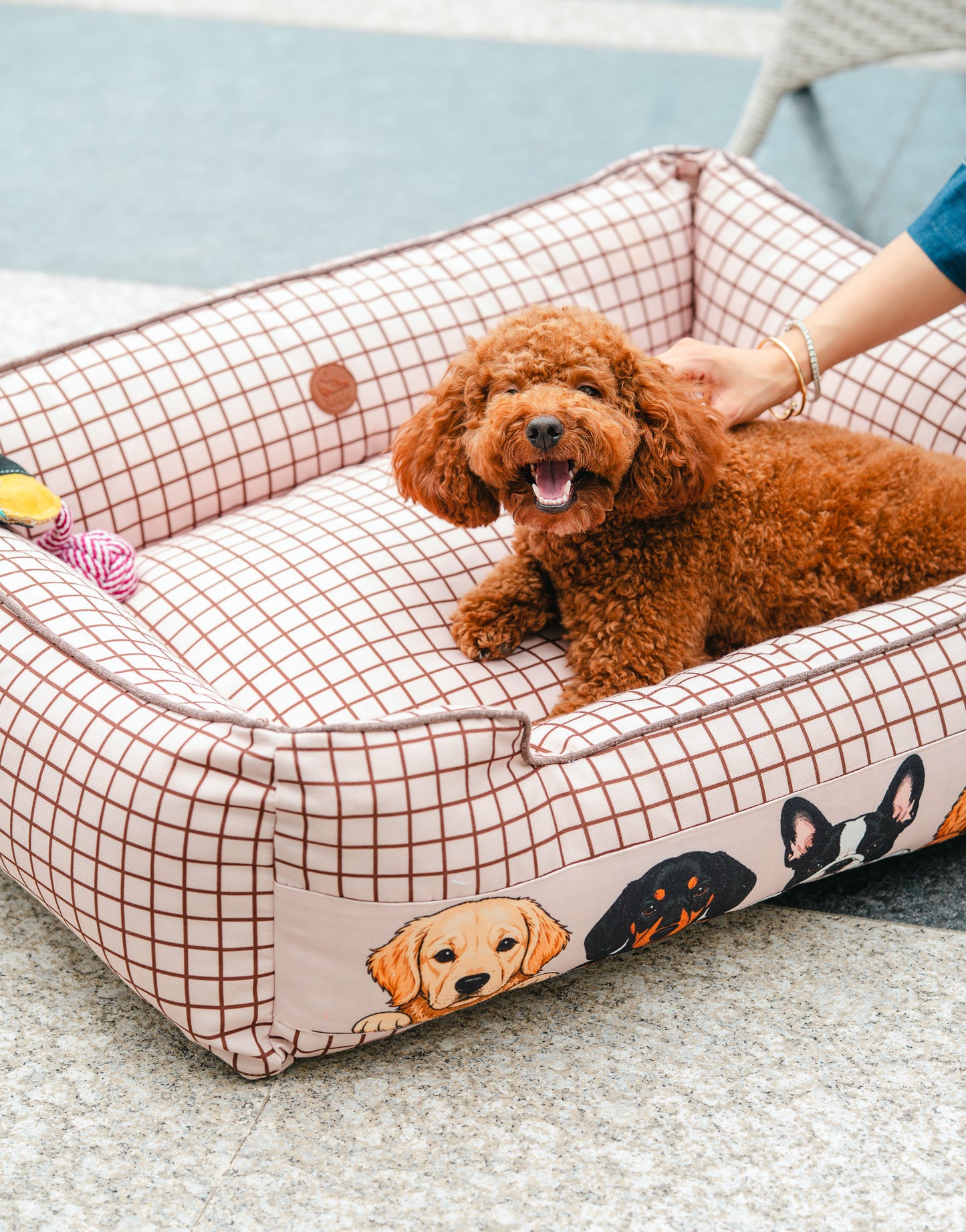 Peek-a-boo Bed For Dog