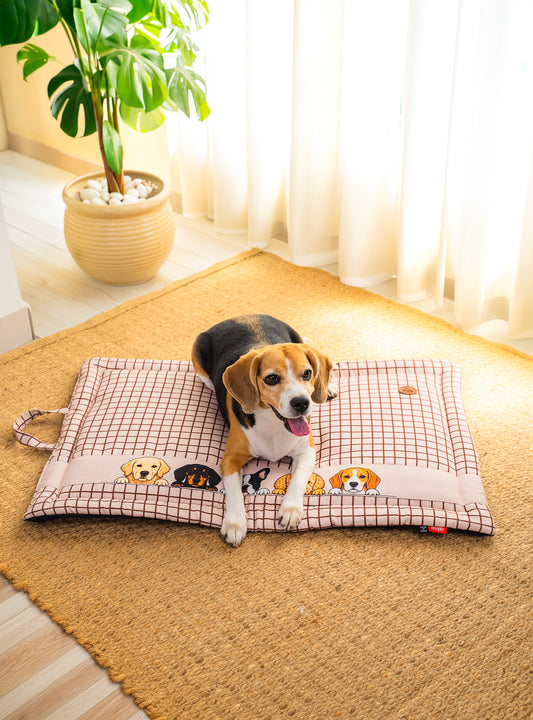 Peek-a-Boo Mat for Dog & Cat