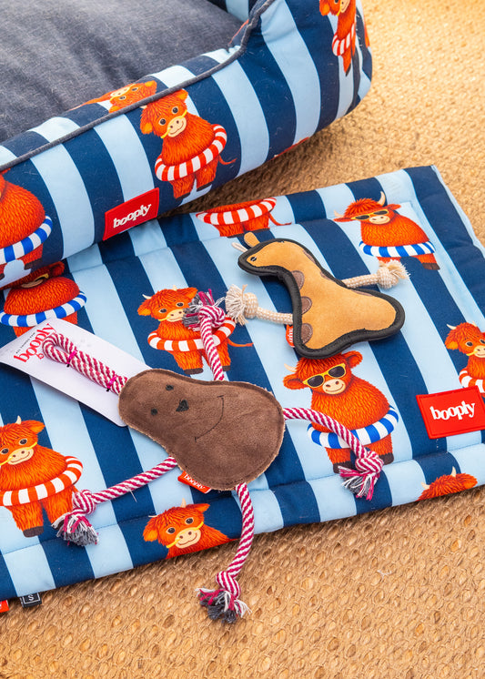 Blue Moo Crew Kit | Cozy Dog Bed, Play Mat & Suede Rope Toys
