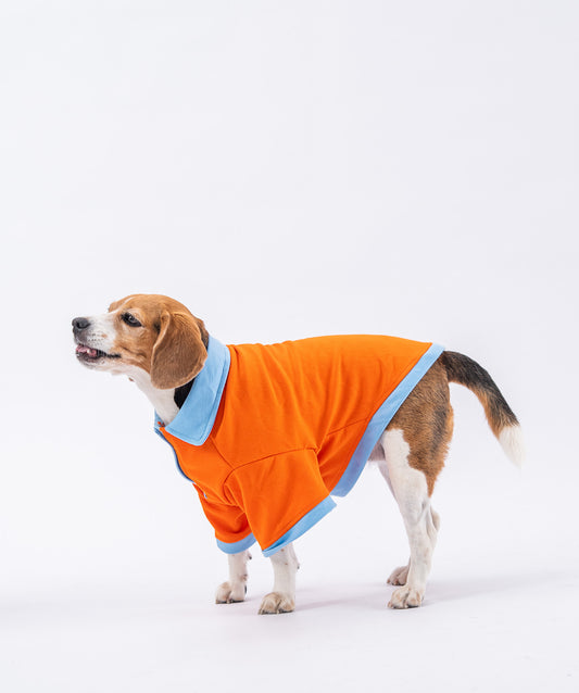 Booply Polo Paws T-Shirt – Orange Pop