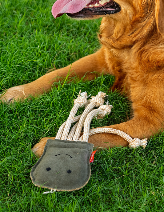 The Forest Jelly Rope Toy for Dogs