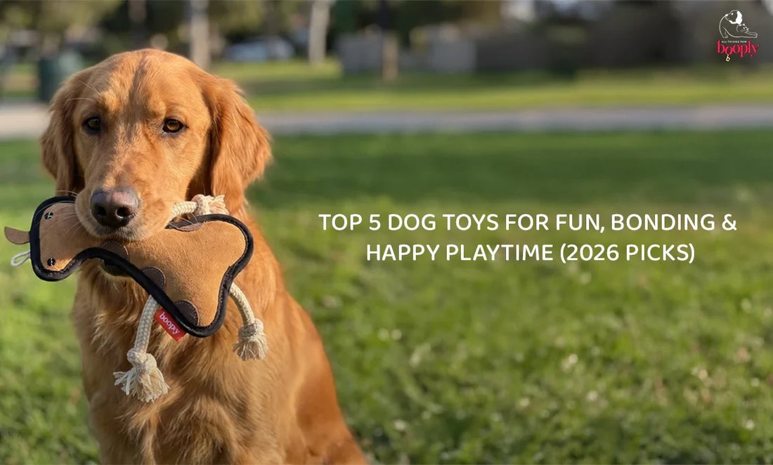 Top 5 Dog Toys for Fun, Bonding & Happy Playtime (2026 Picks)