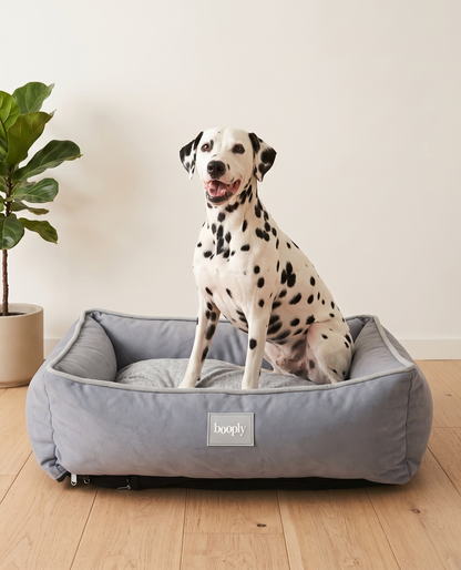 Booply Cloud Lounger for Dog – Mist