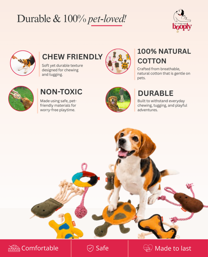 The Booply Playtime Bundle 🐾