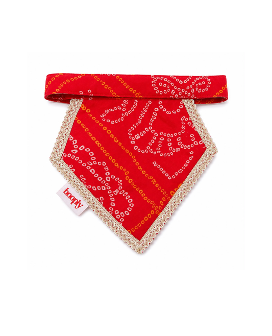 Booply Festive Paws Bandana - Anar