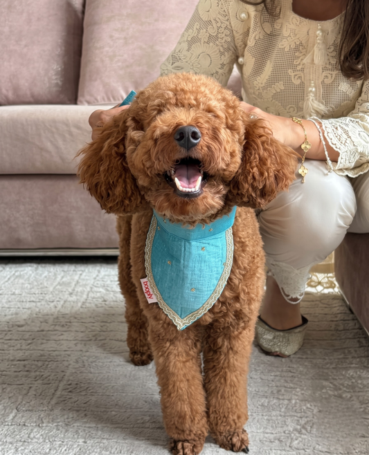 Booply Festive Paws Bandana - Firoza