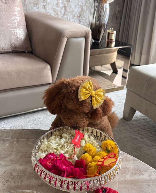 Booply Festive Paws Bow Clip - Basant