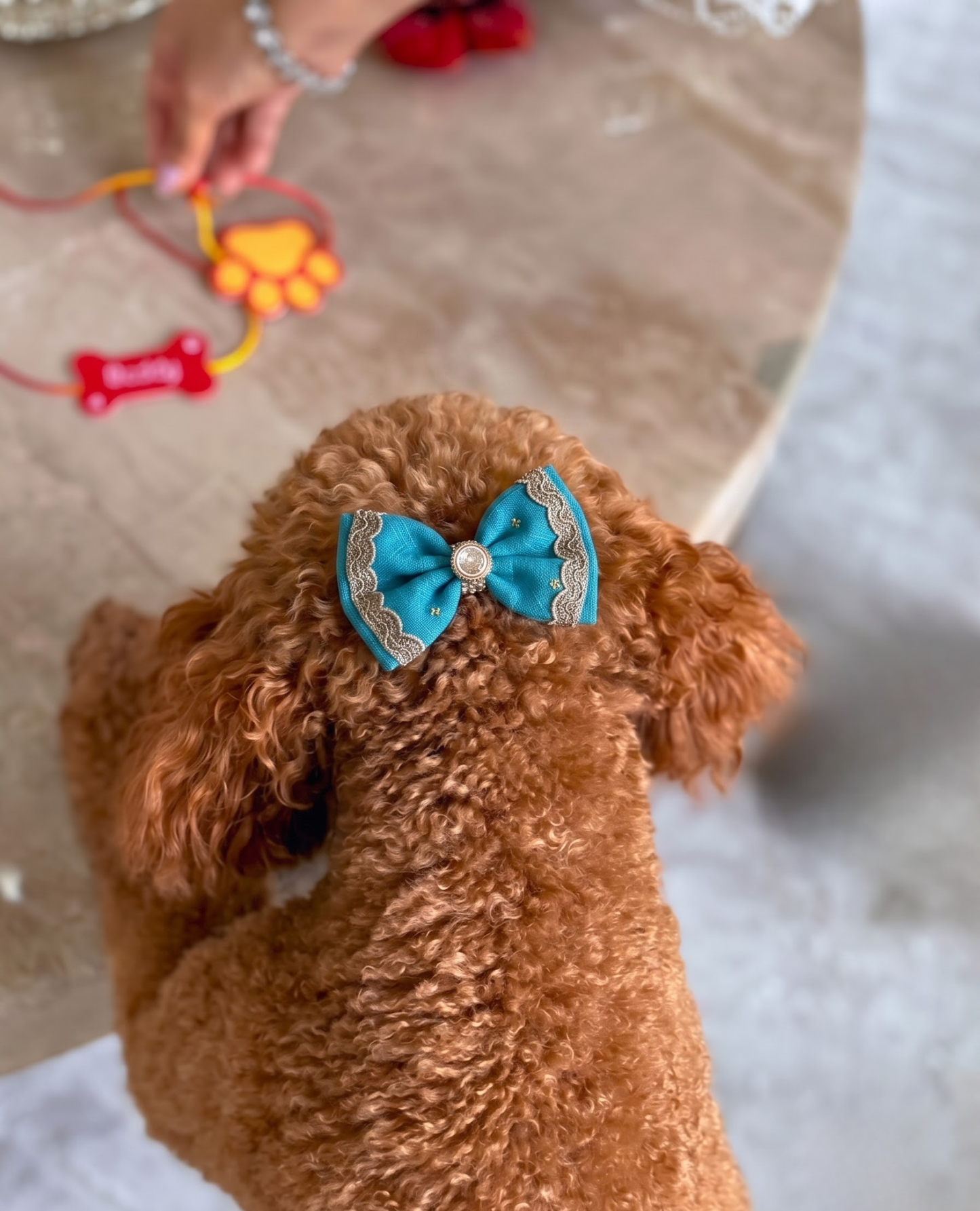 Booply Festive Paws Bow Clip - Firoza