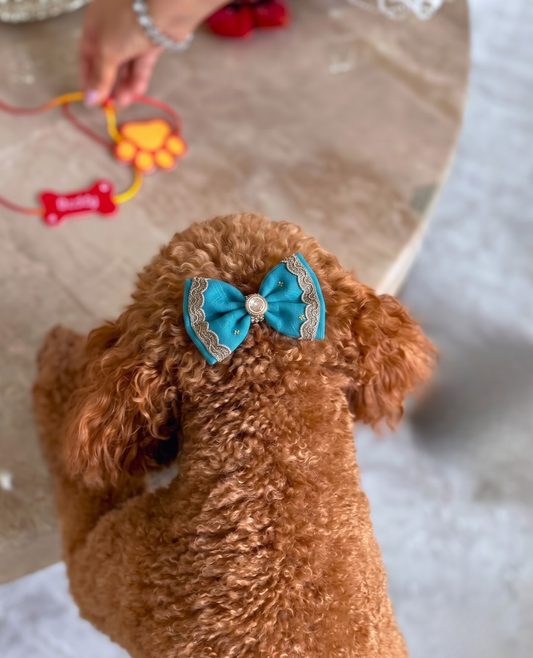 Booply Festive Paws Bow Clip - Firoza