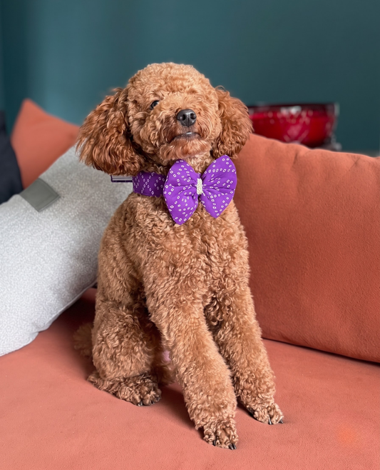 ⁠Booply Festive Bow Tie - Jamun