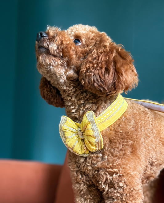 ⁠Booply Festive Bow Tie - Basant
