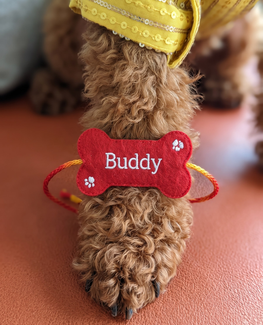 Booply Bone Patch Rakhi