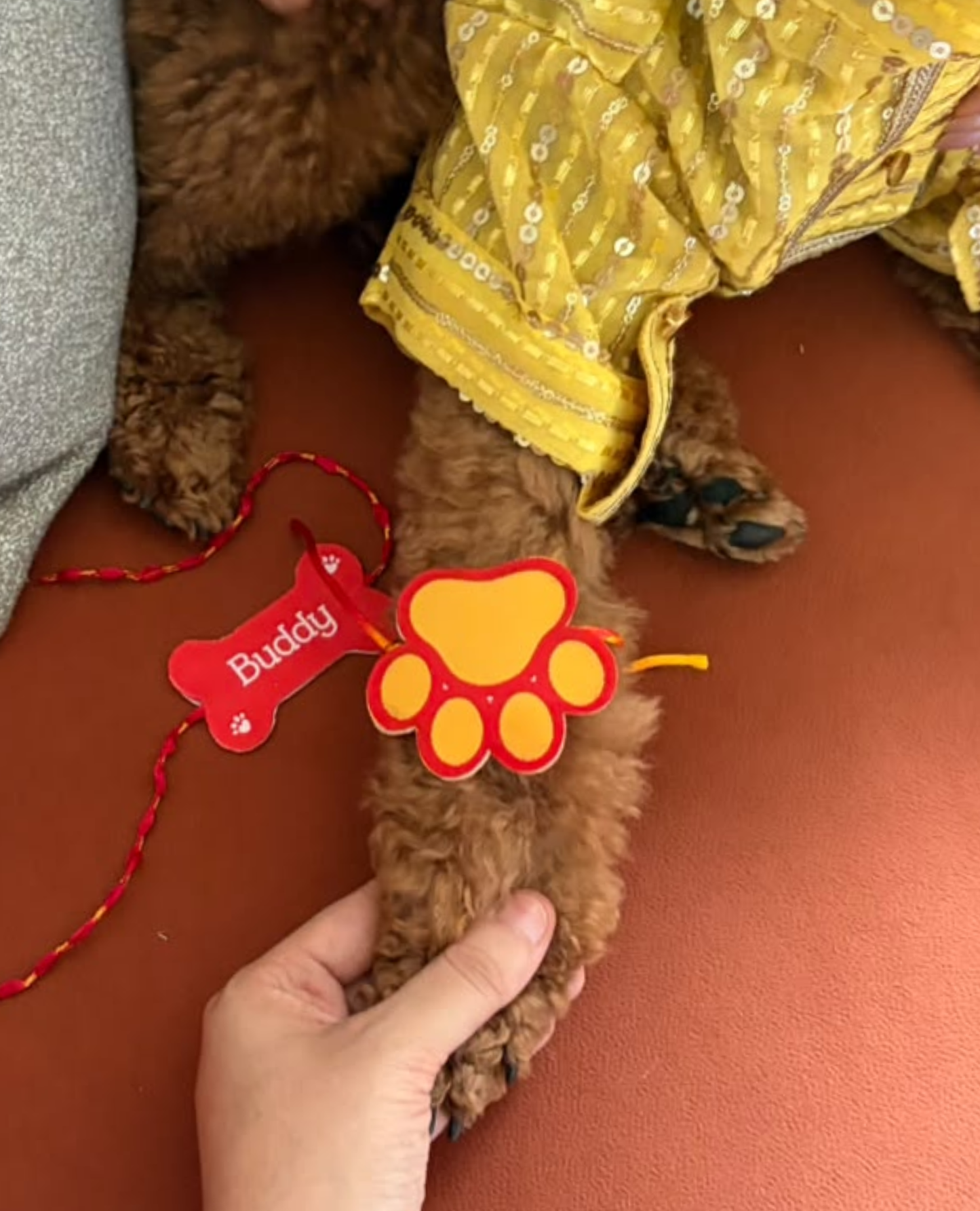 Booply Paw Patch Rakhi