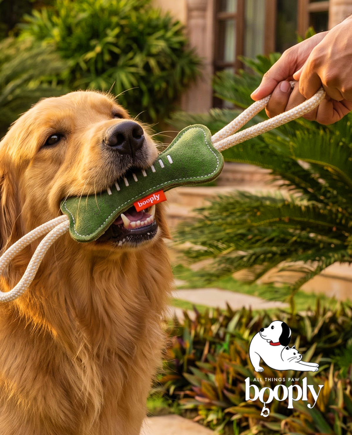 The Classic Bone Chew Rope Toy for Dogs