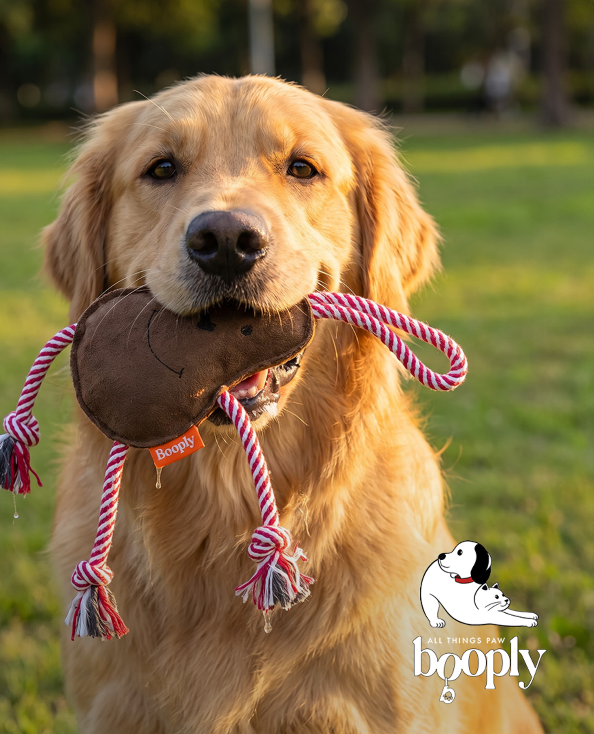 Cocoa Pear Rope Toy for Dogs