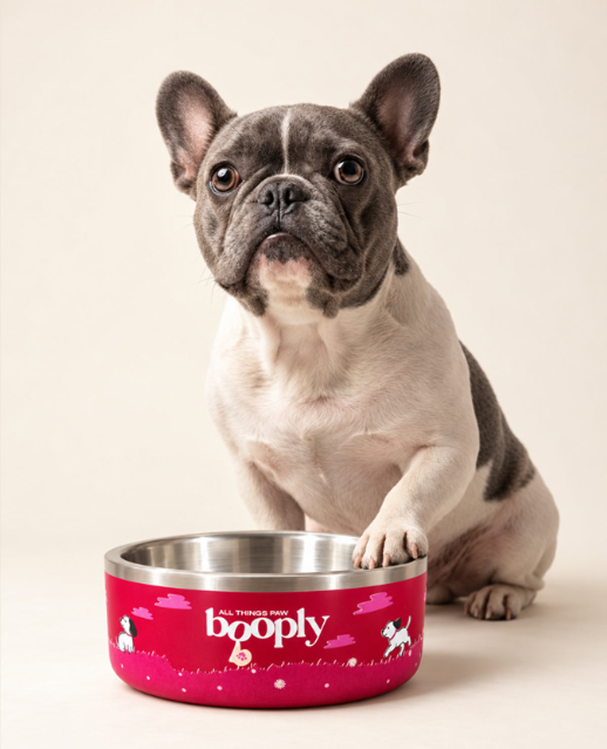 Booply Stainless Steel Double Wall Dog Bowl