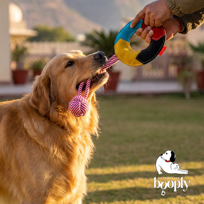 The Carnival Ring Tug & Rope Toy for Dogs
