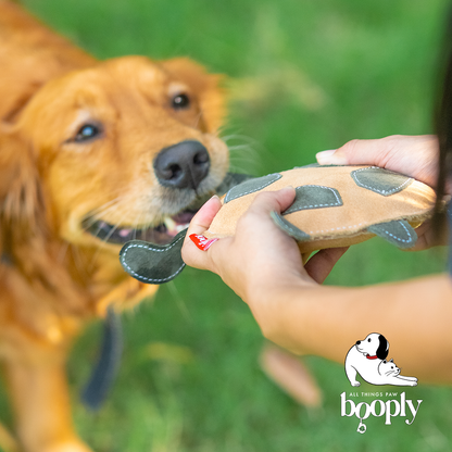 Olive Shell Turtle Toy for Dogs