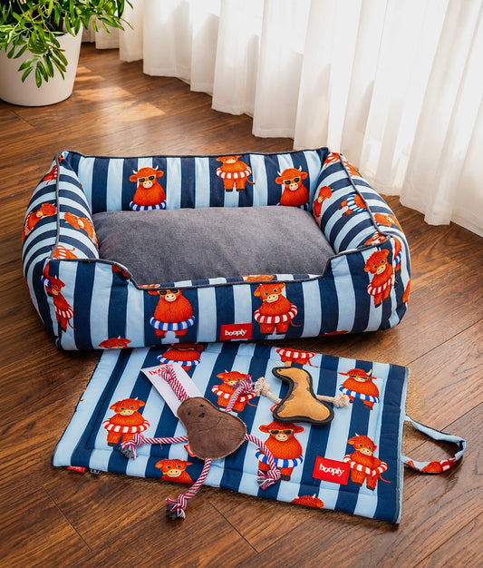 Blue Moo Crew Kit | Cozy Dog Bed, Play Mat & Suede Rope Toys