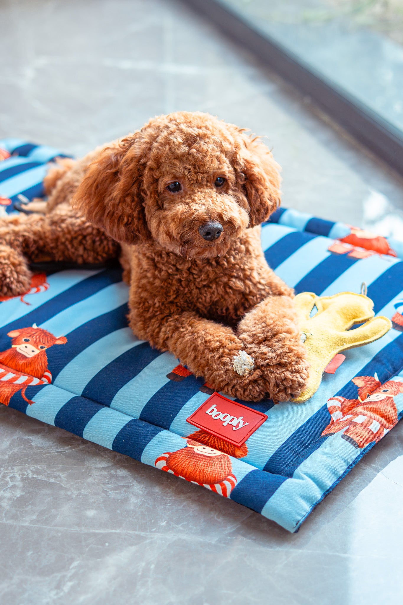 Blue Moo Crew Mat for Dog & Cat