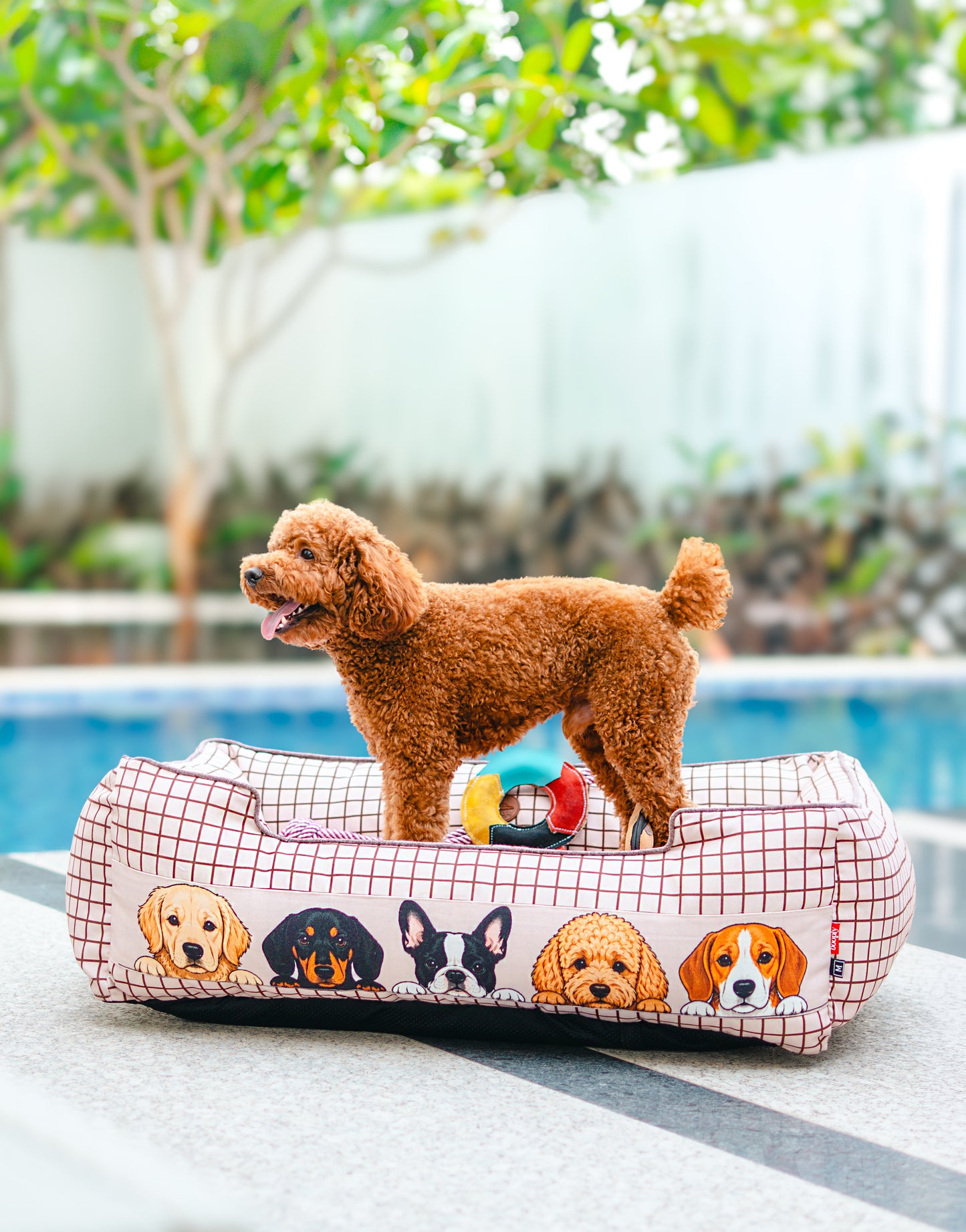 Peek-a-boo Bed For Dog