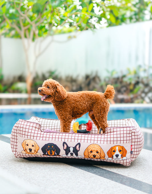 Peek-a-boo Bed For Dog