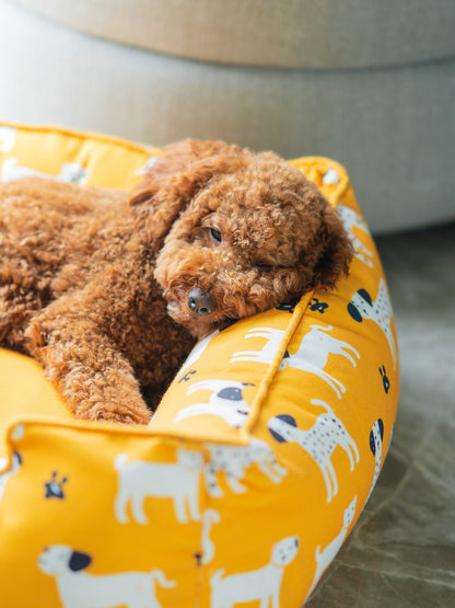 Sunshine Snooze Bed for Dog