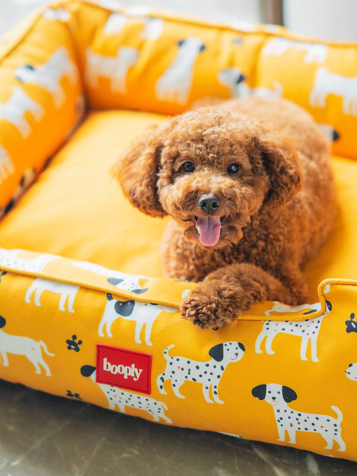 Sunshine Snooze Bed for Dog