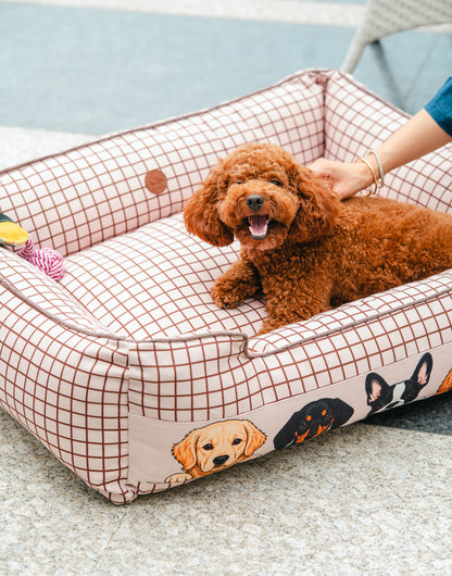 Peek-a-boo Bed For Dog