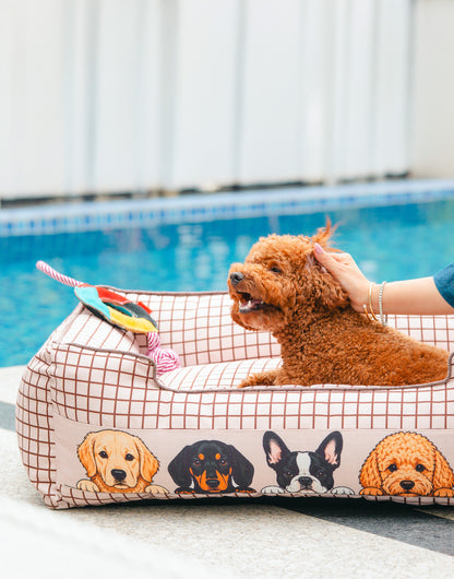 Peek-a-boo Bed For Dog