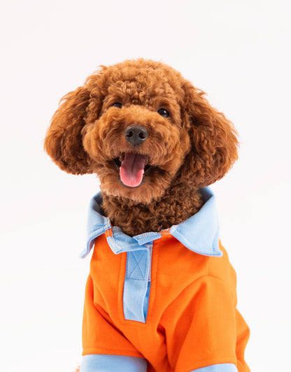 Booply Polo Paws T-Shirt – Orange Pop