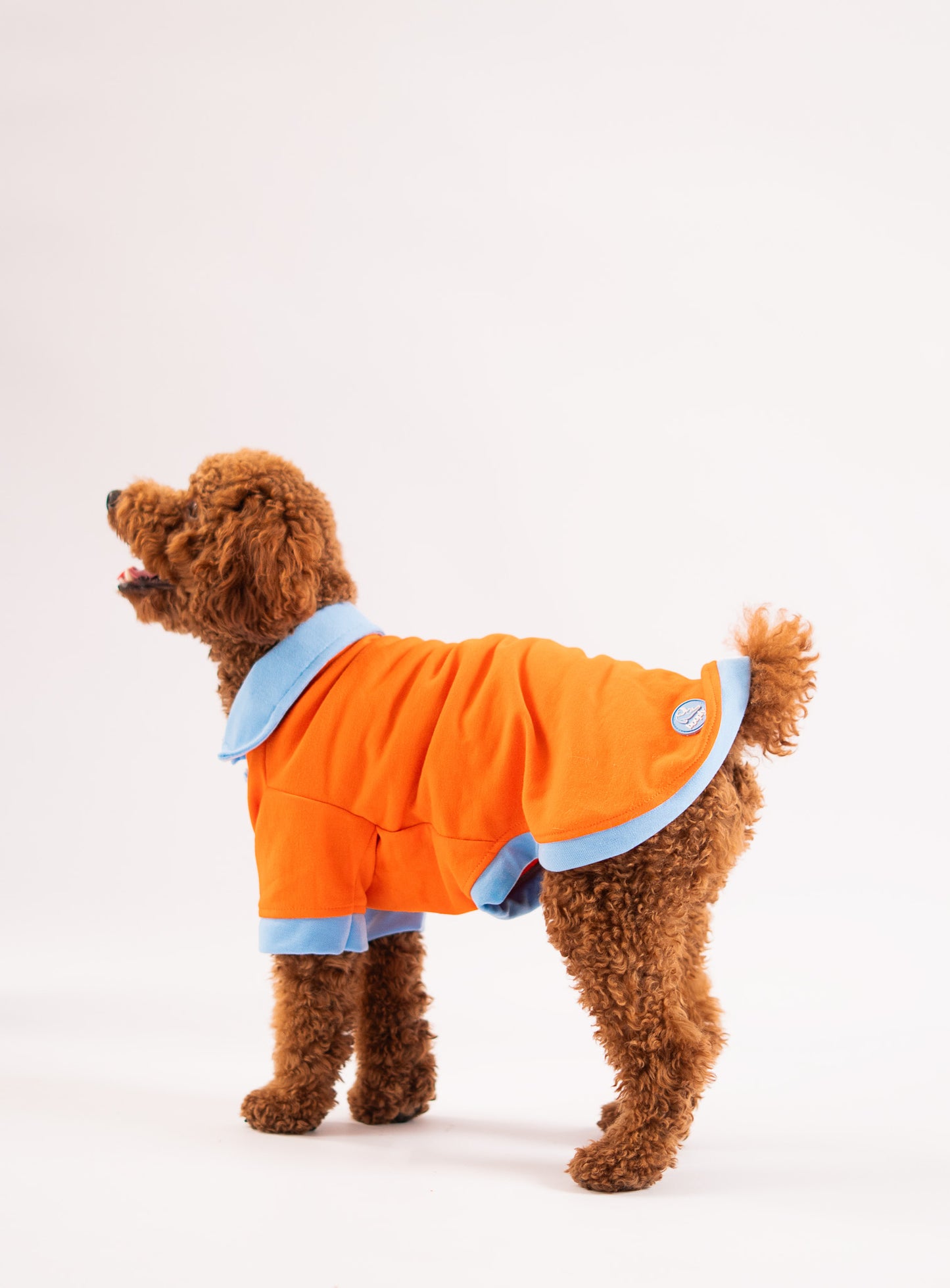 Booply Polo Paws T-Shirt – Orange Pop