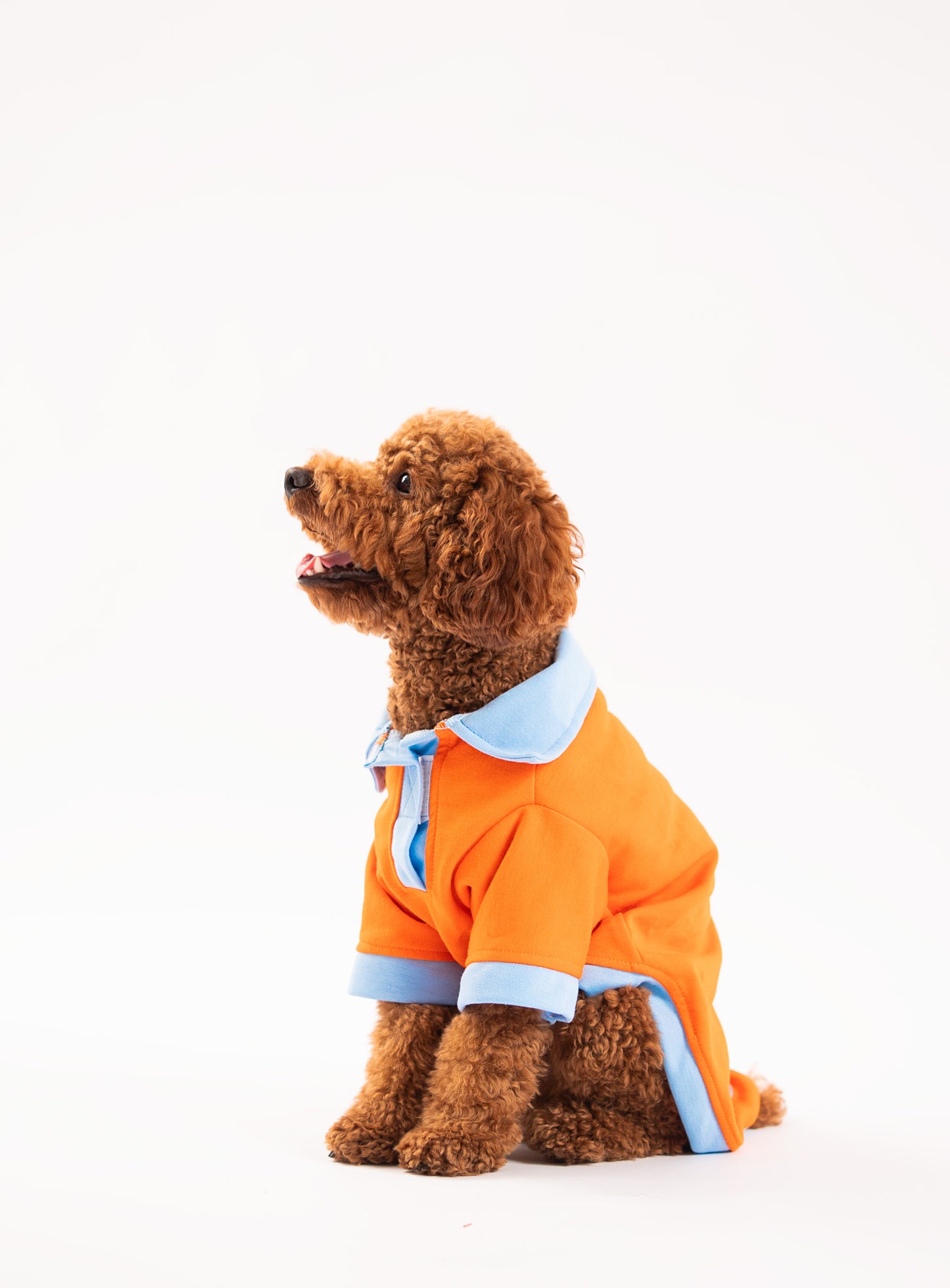 Booply Polo Paws T-Shirt – Orange Pop
