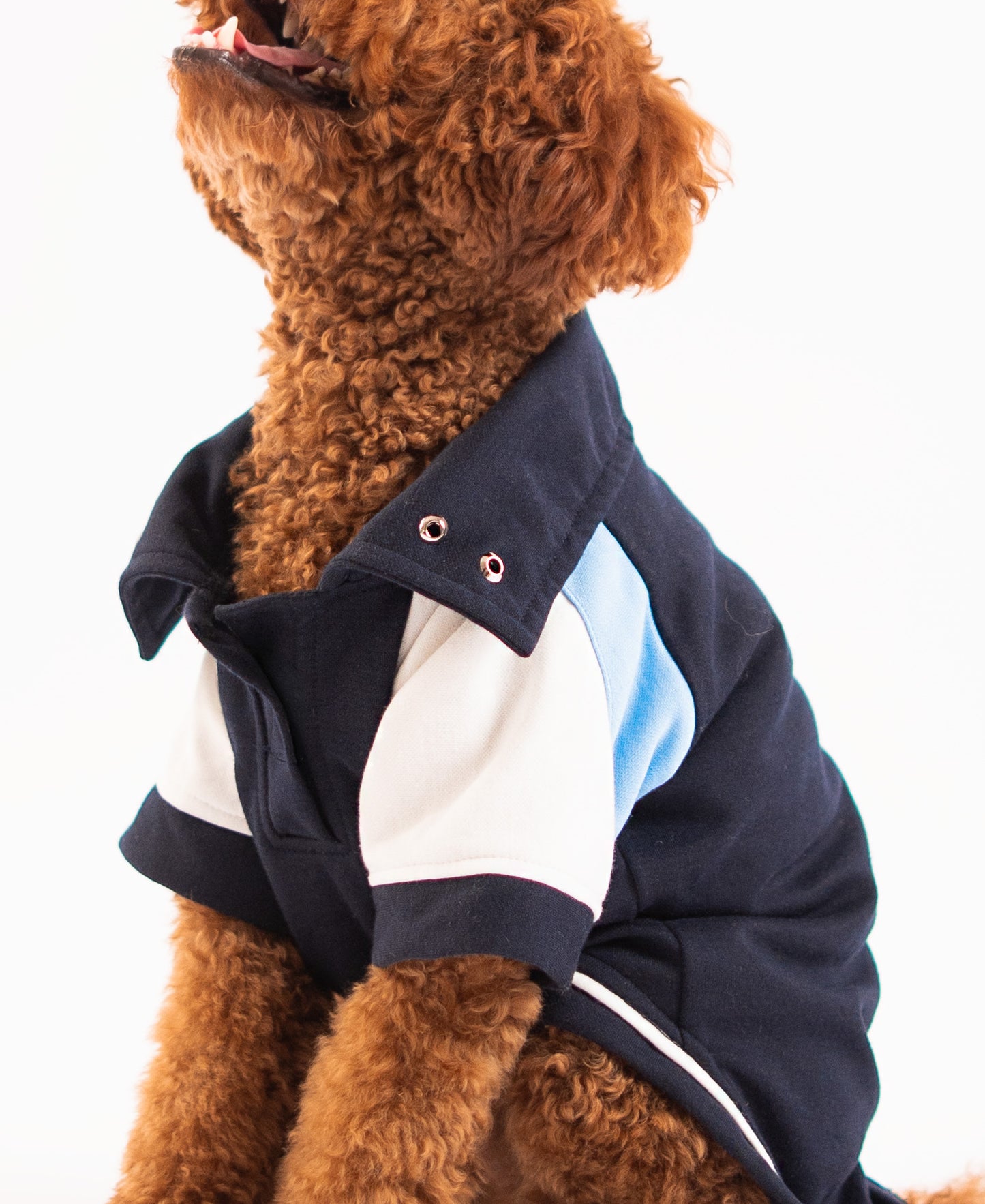 Booply Club Polo T-Shirt – Navy Panel