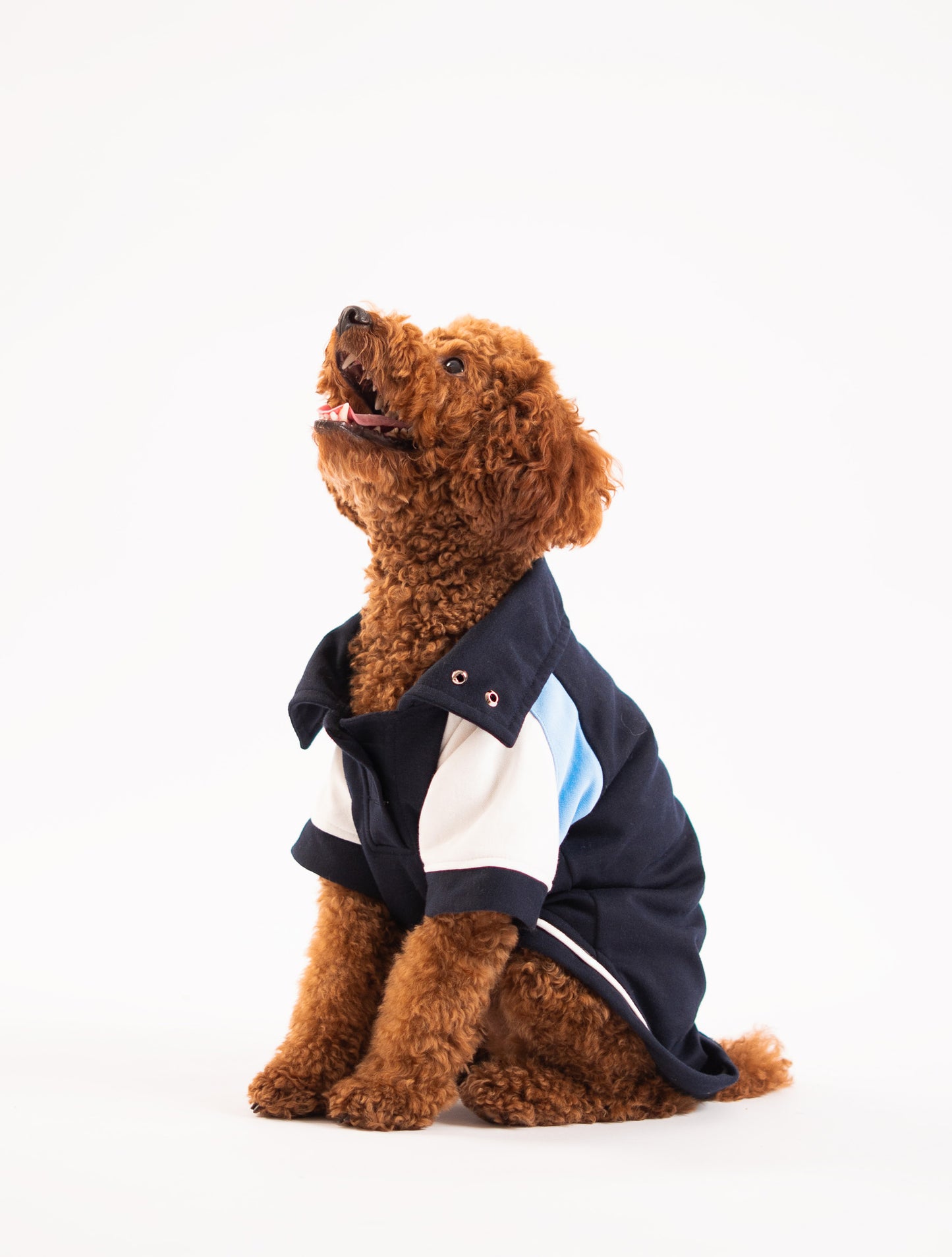 Booply Club Polo T-Shirt – Navy Panel