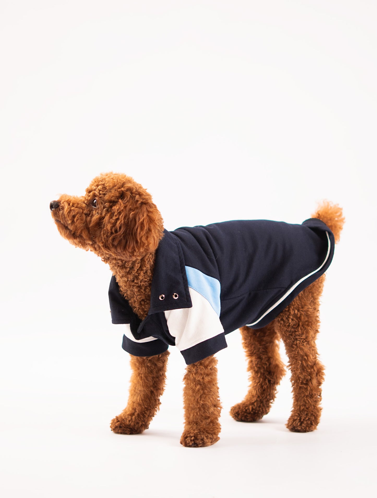 Booply Club Polo T-Shirt – Navy Panel