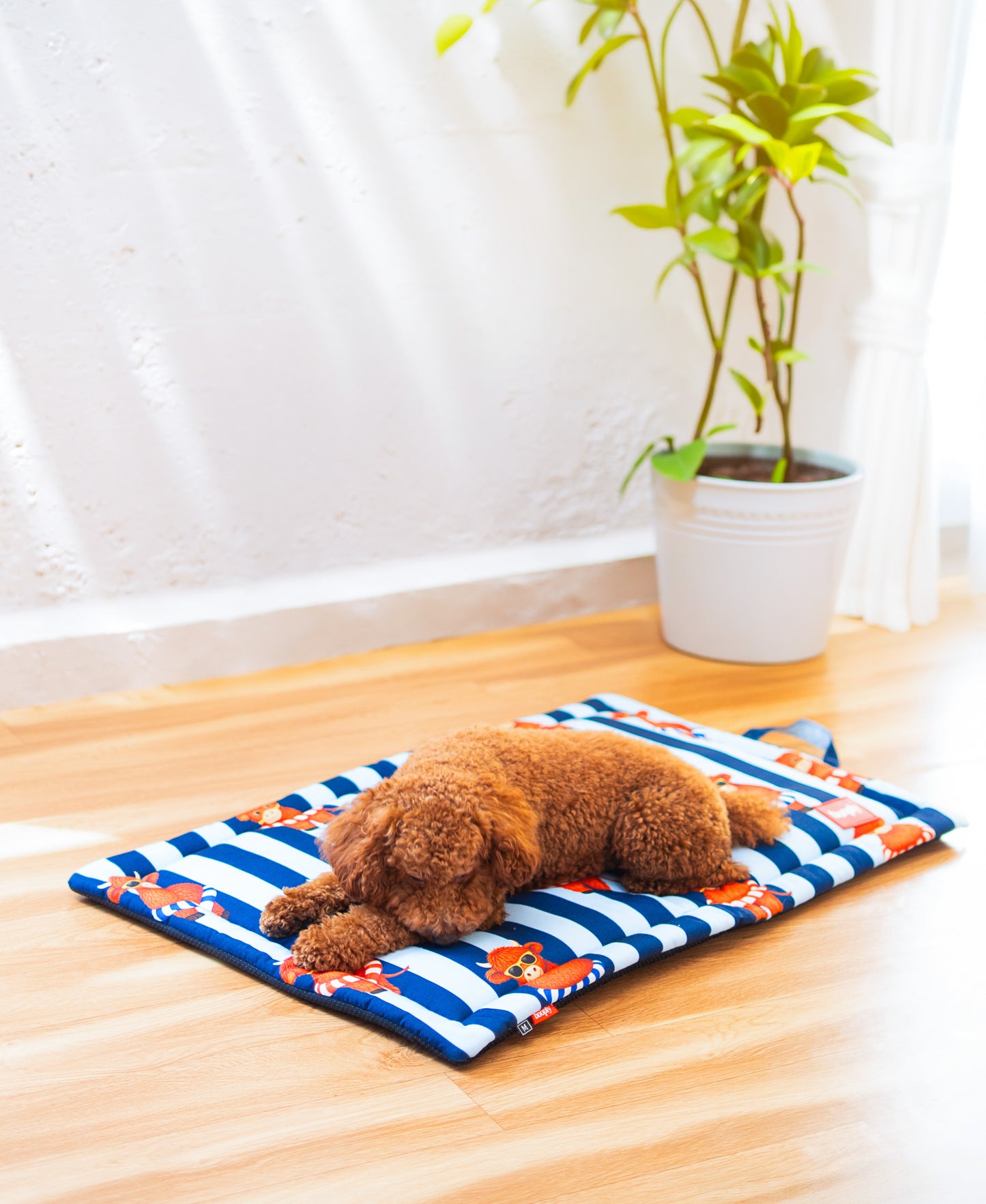 Blue Moo Crew Mat for Dog & Cat