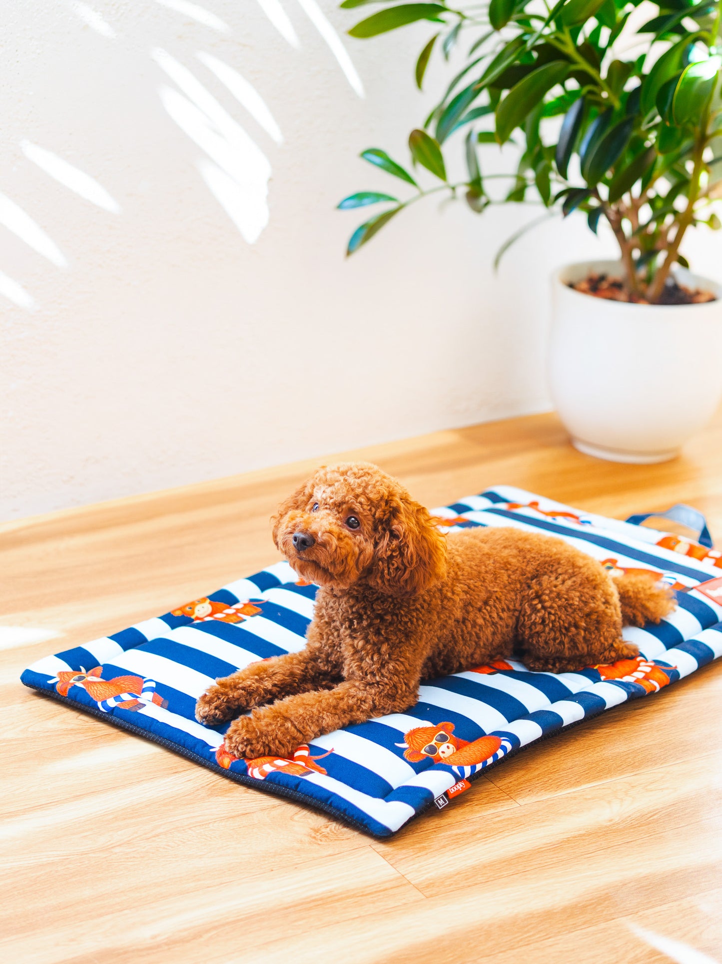 Blue Moo Crew Mat for Dog & Cat