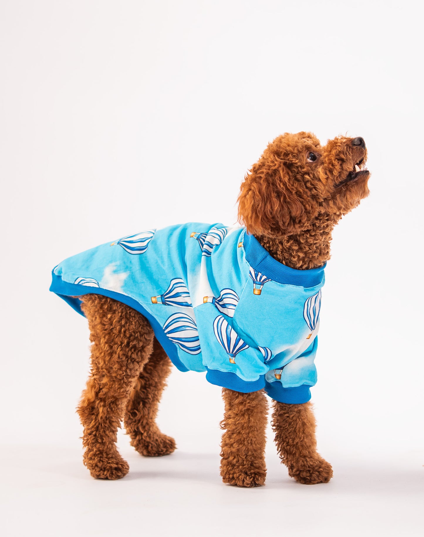 Booply Balloon Tee – Sky Blue