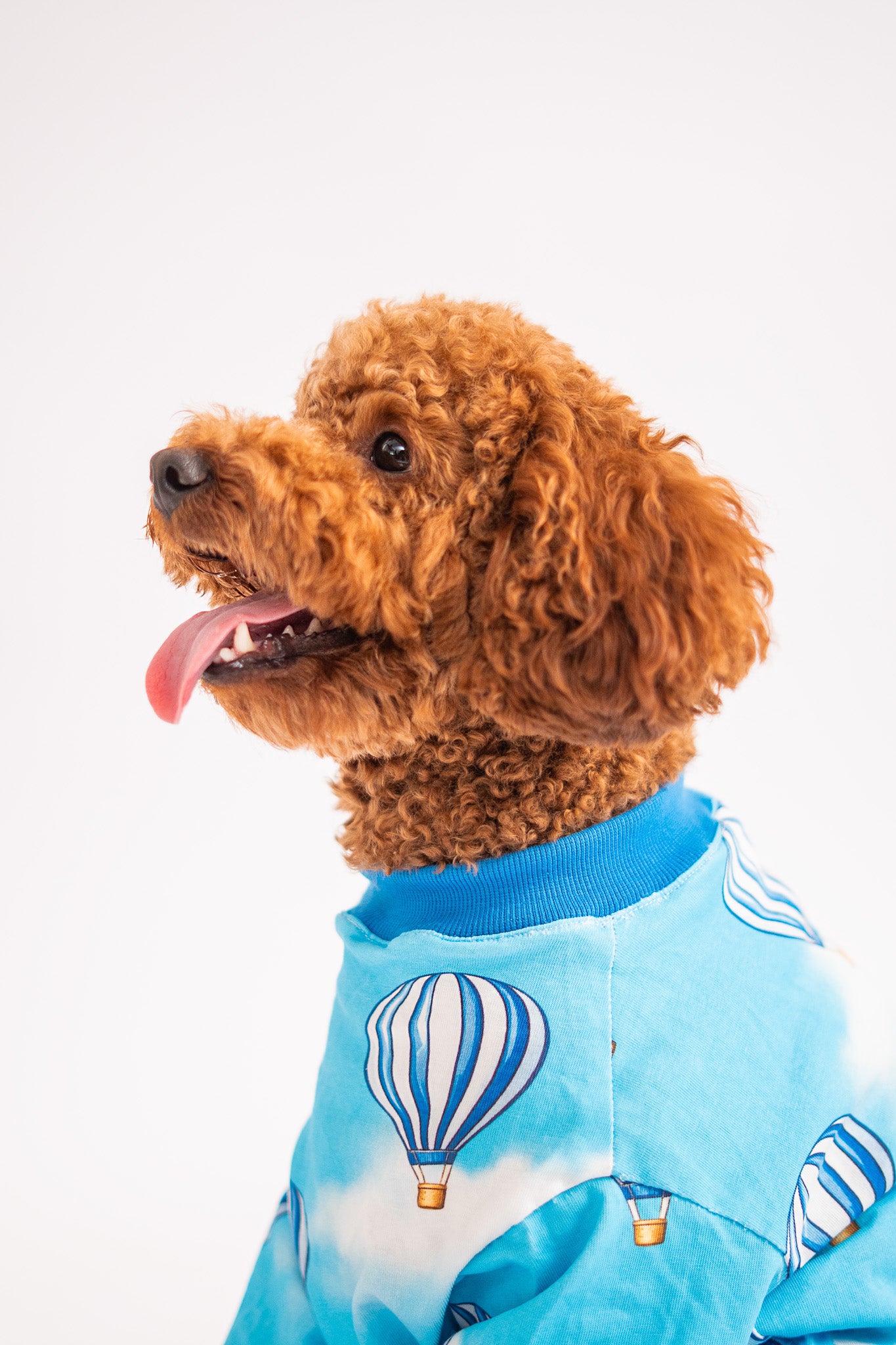 Booply Balloon Tee – Sky Blue
