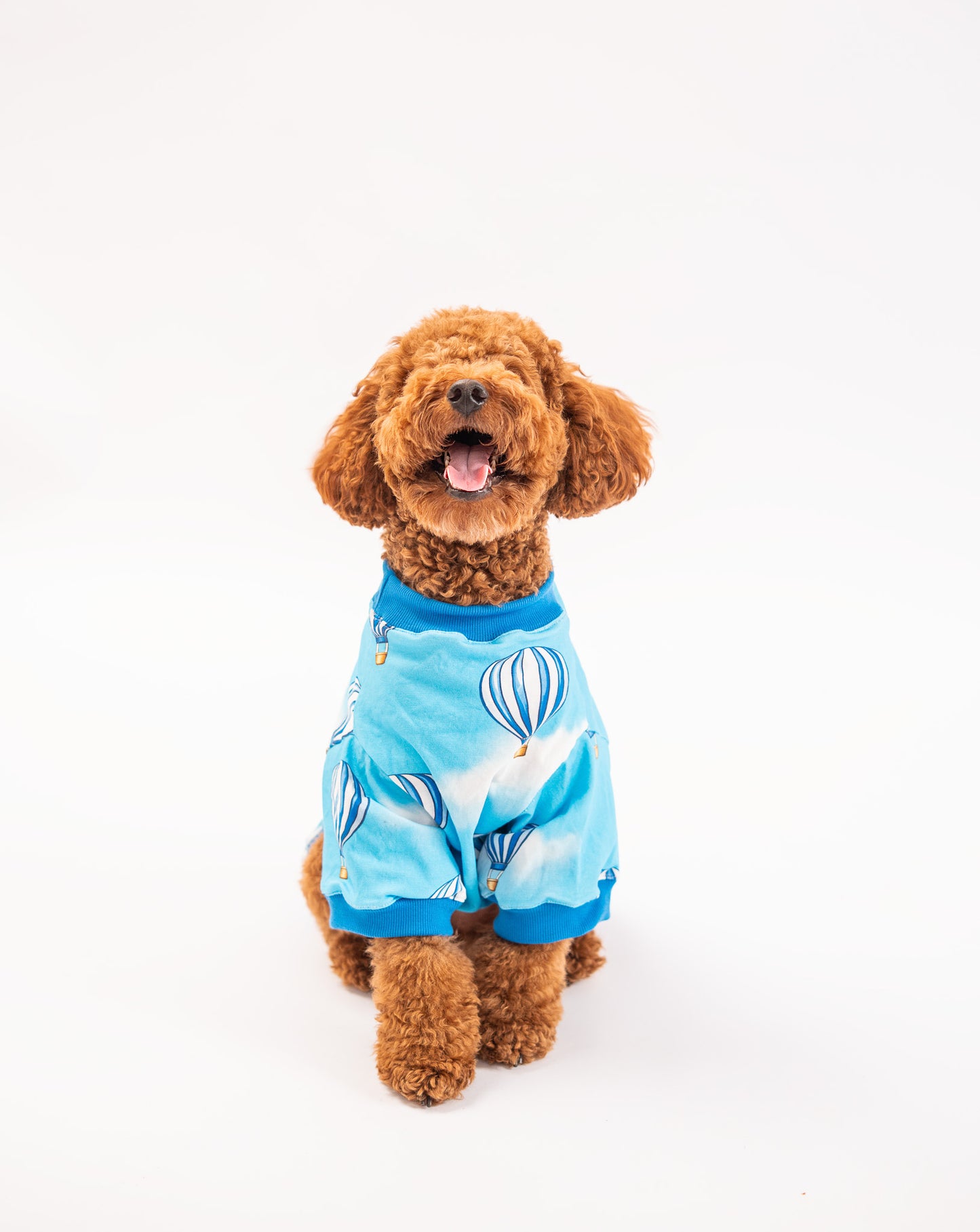 Booply Balloon Tee – Sky Blue