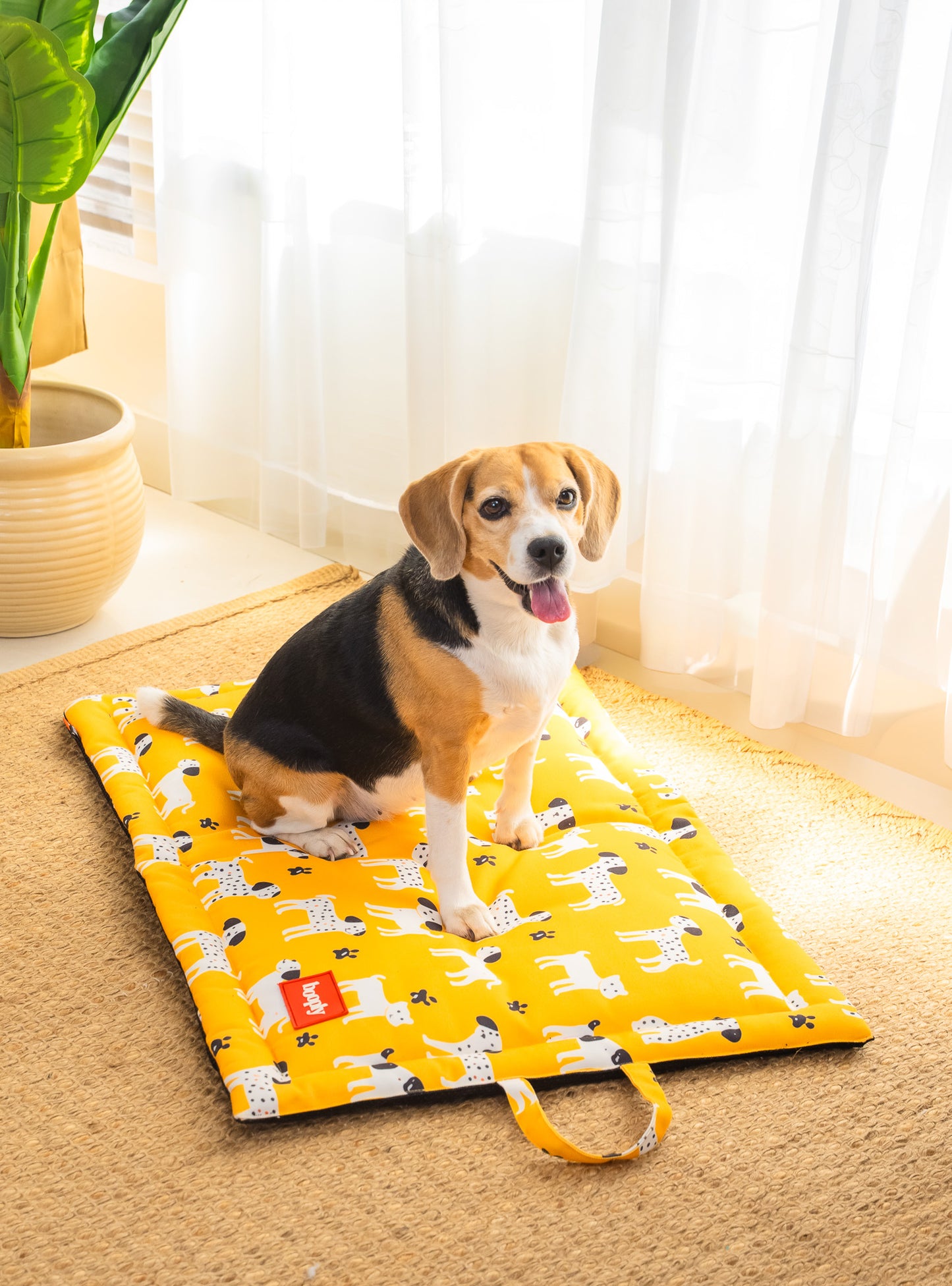 Sunshine Snooze Mat for Dog & Cat