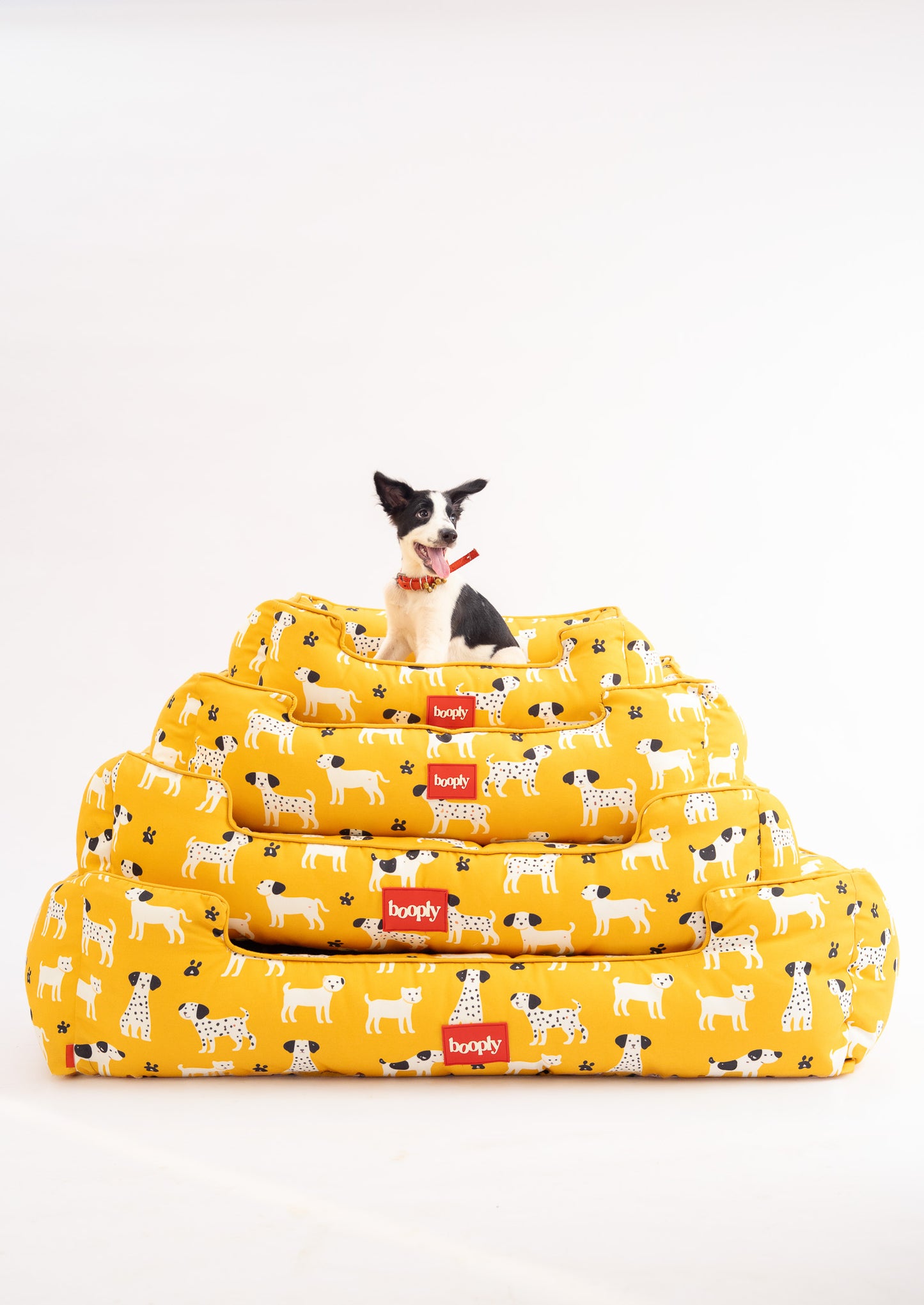 Sunshine Snooze Bed for Dog