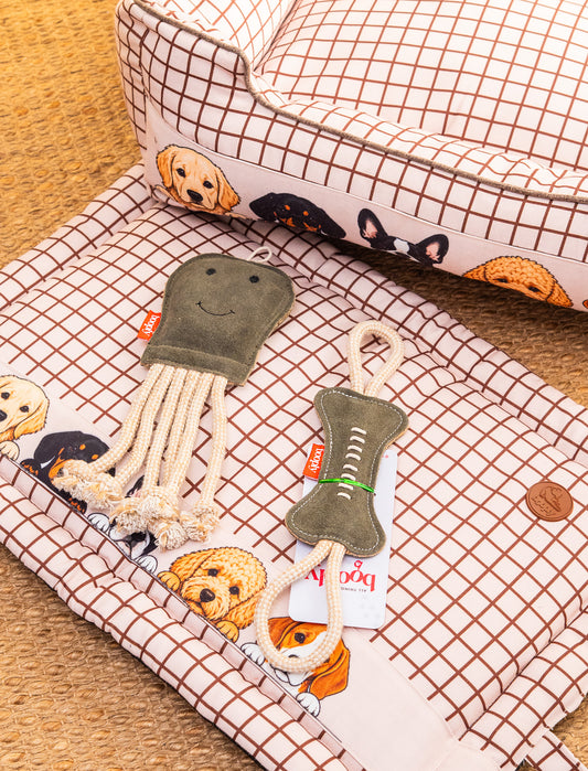 Peek-a-Boo Starter Kit | Cozy Bed, Comfort Mat & Suede Pet Toys