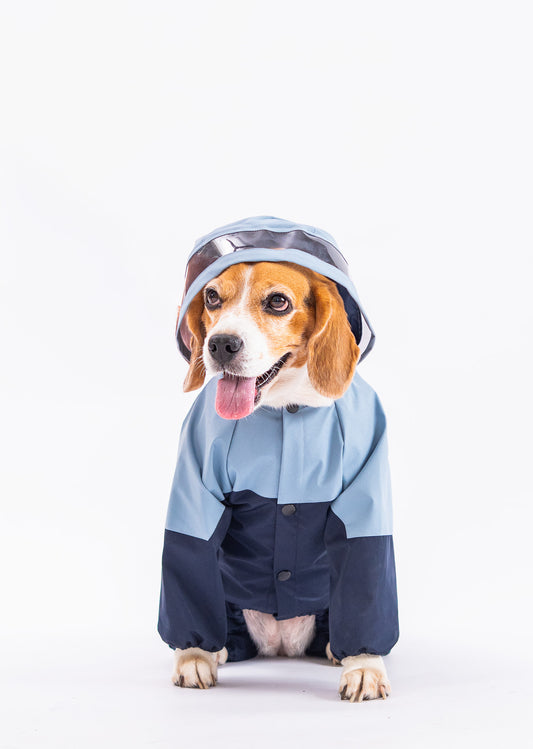 Booply Rainshied Waterproof Dual Coloured Dog Raincoat with Hood