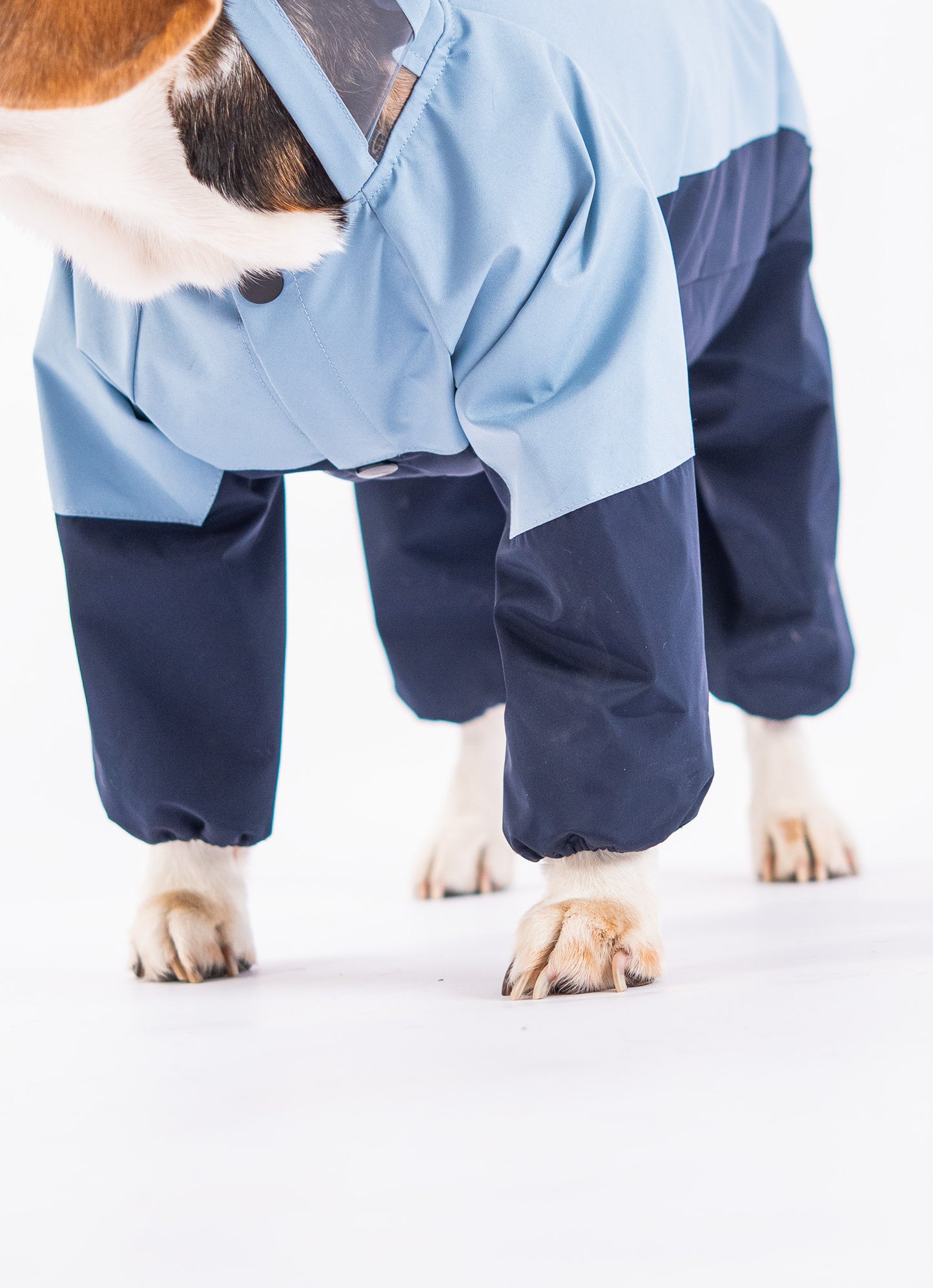 Booply Rainshied Waterproof Dual Coloured Dog Raincoat with Hood