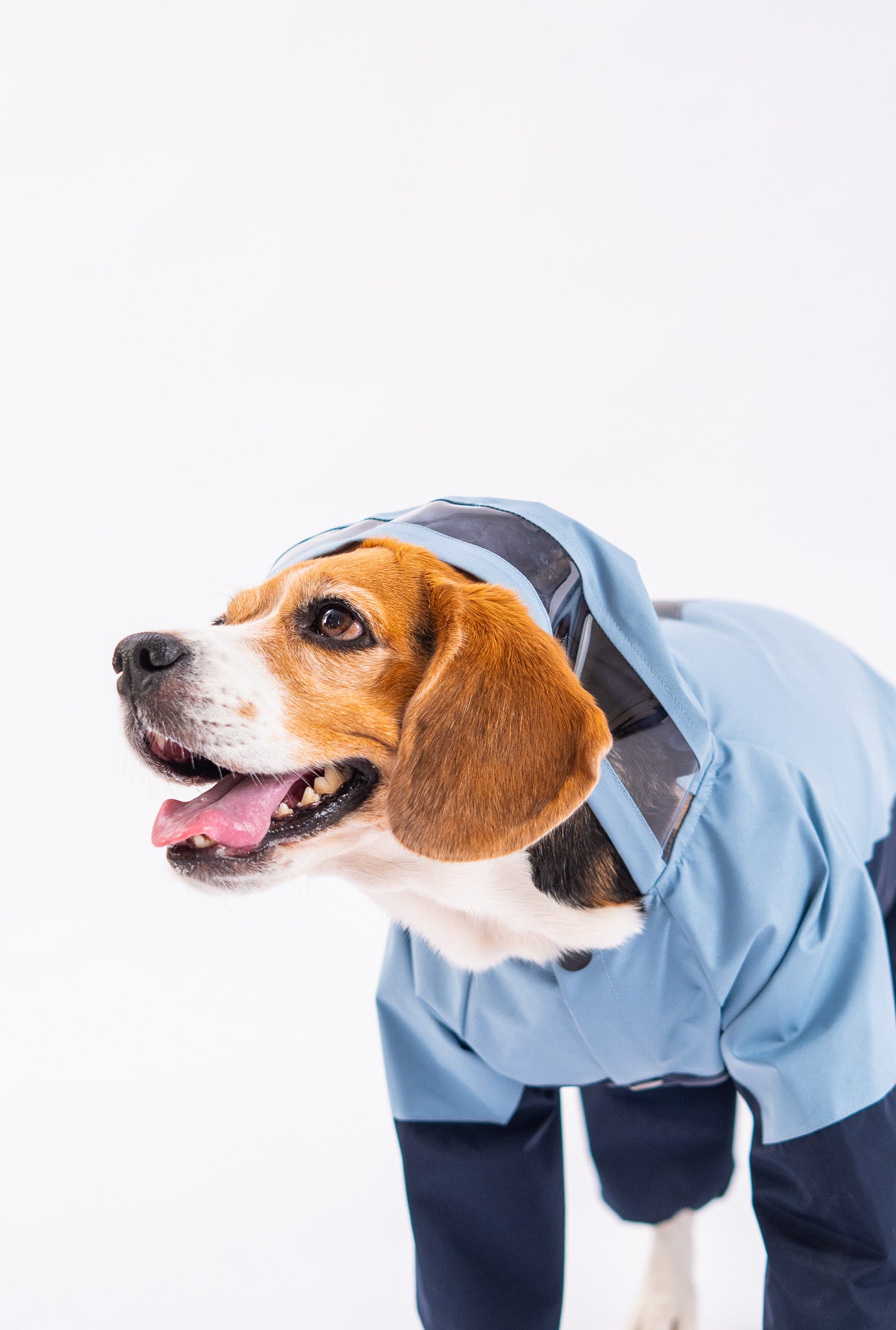 Booply Rainshied Waterproof Dual Coloured Dog Raincoat with Hood
