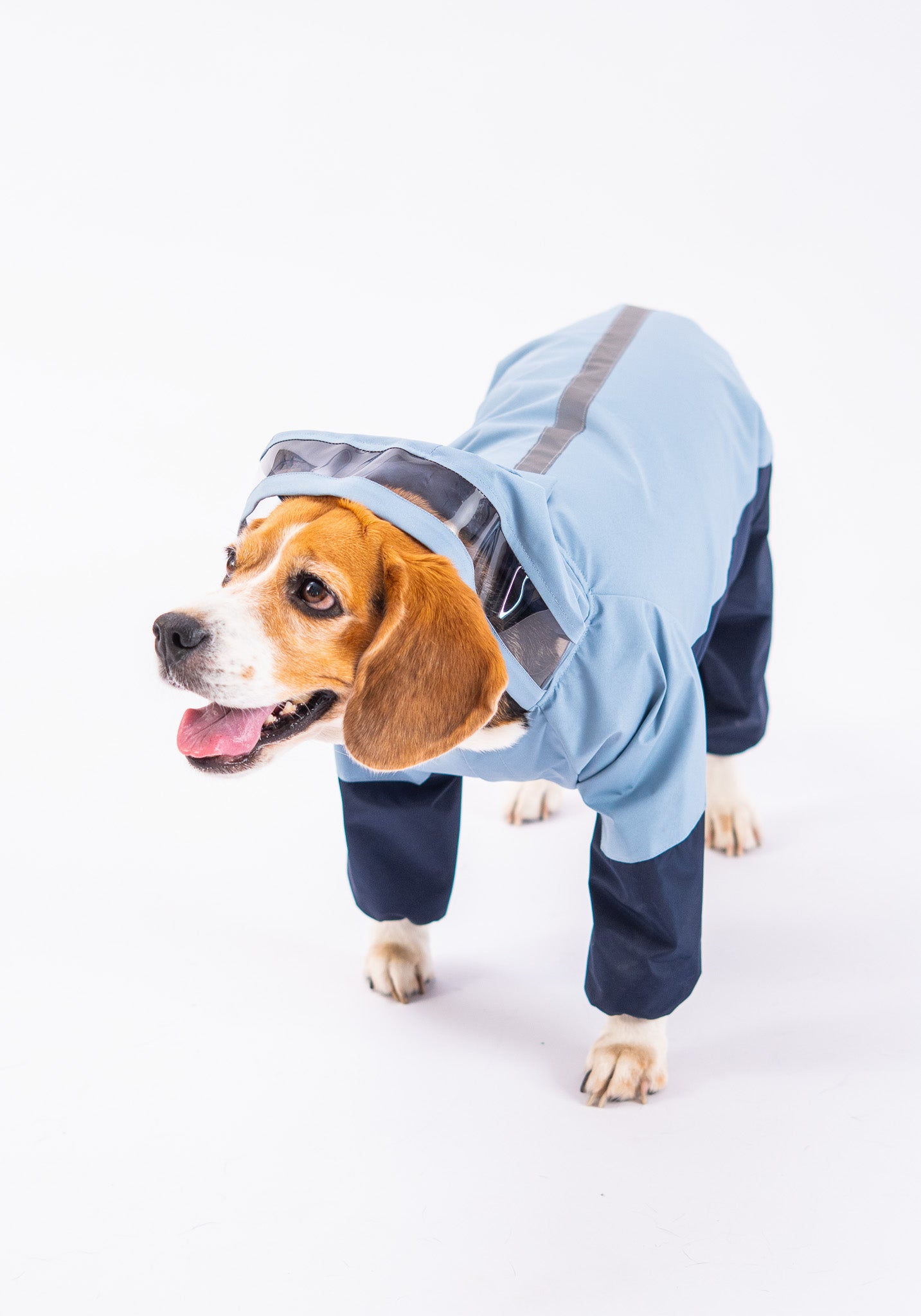 Booply Rainshied Waterproof Dual Coloured Dog Raincoat with Hood