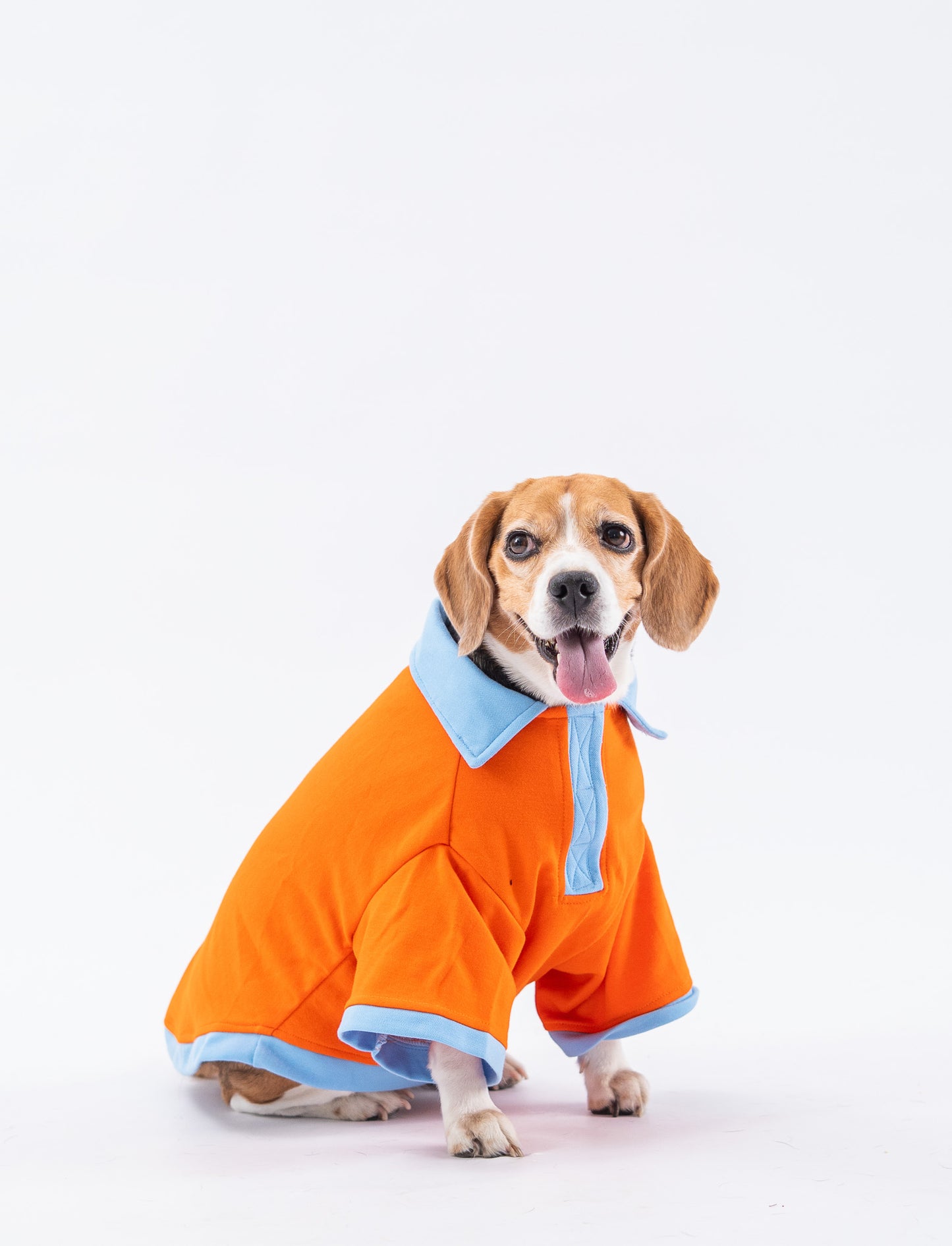 Booply Polo Paws T-Shirt – Orange Pop
